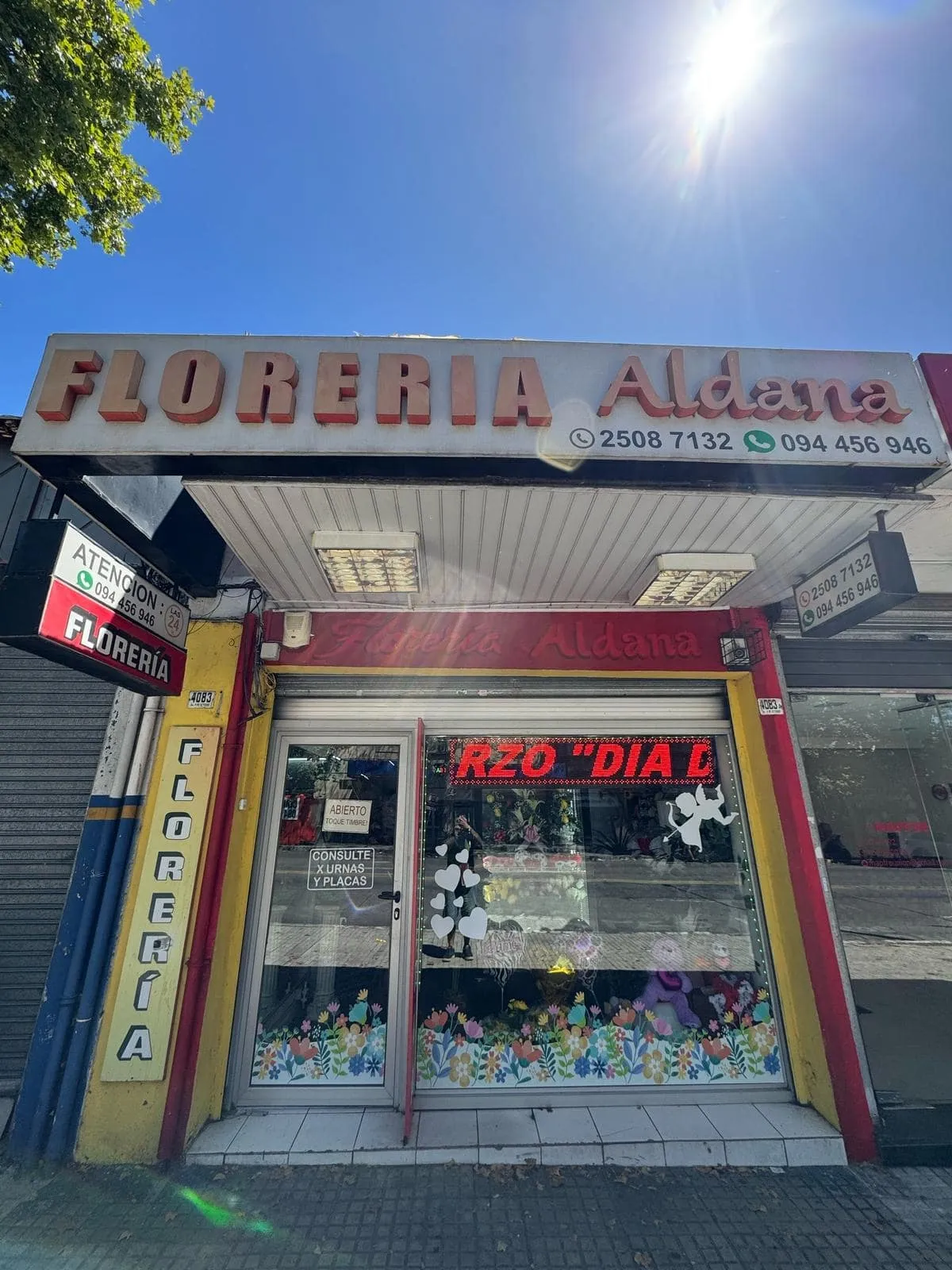 Interior de nuestra tienda