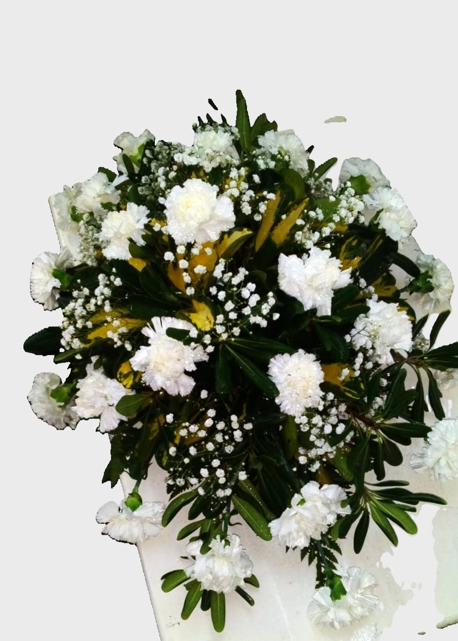 Manto Fúnebre de Claveles