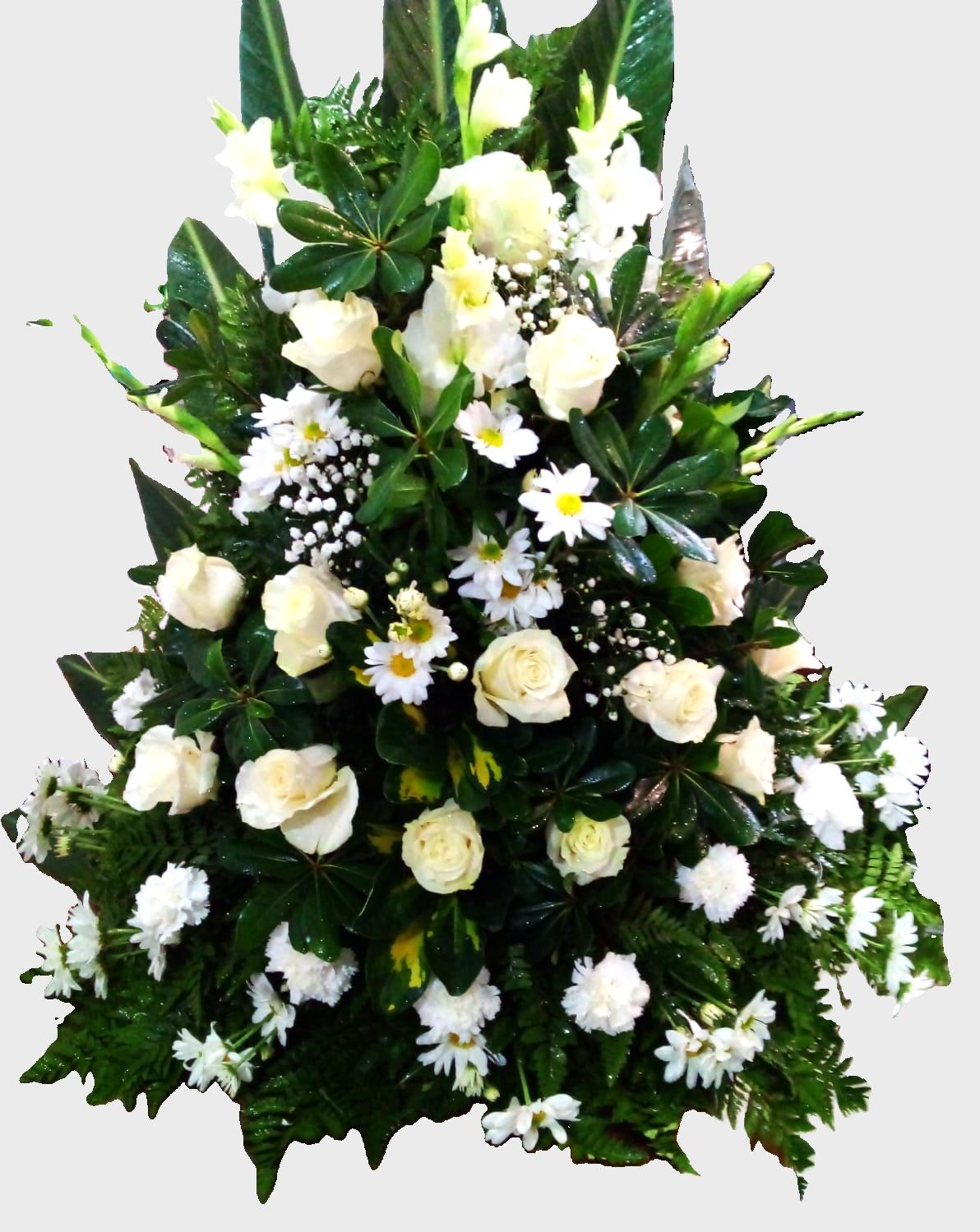 Palma de Piso con Flores de Estación