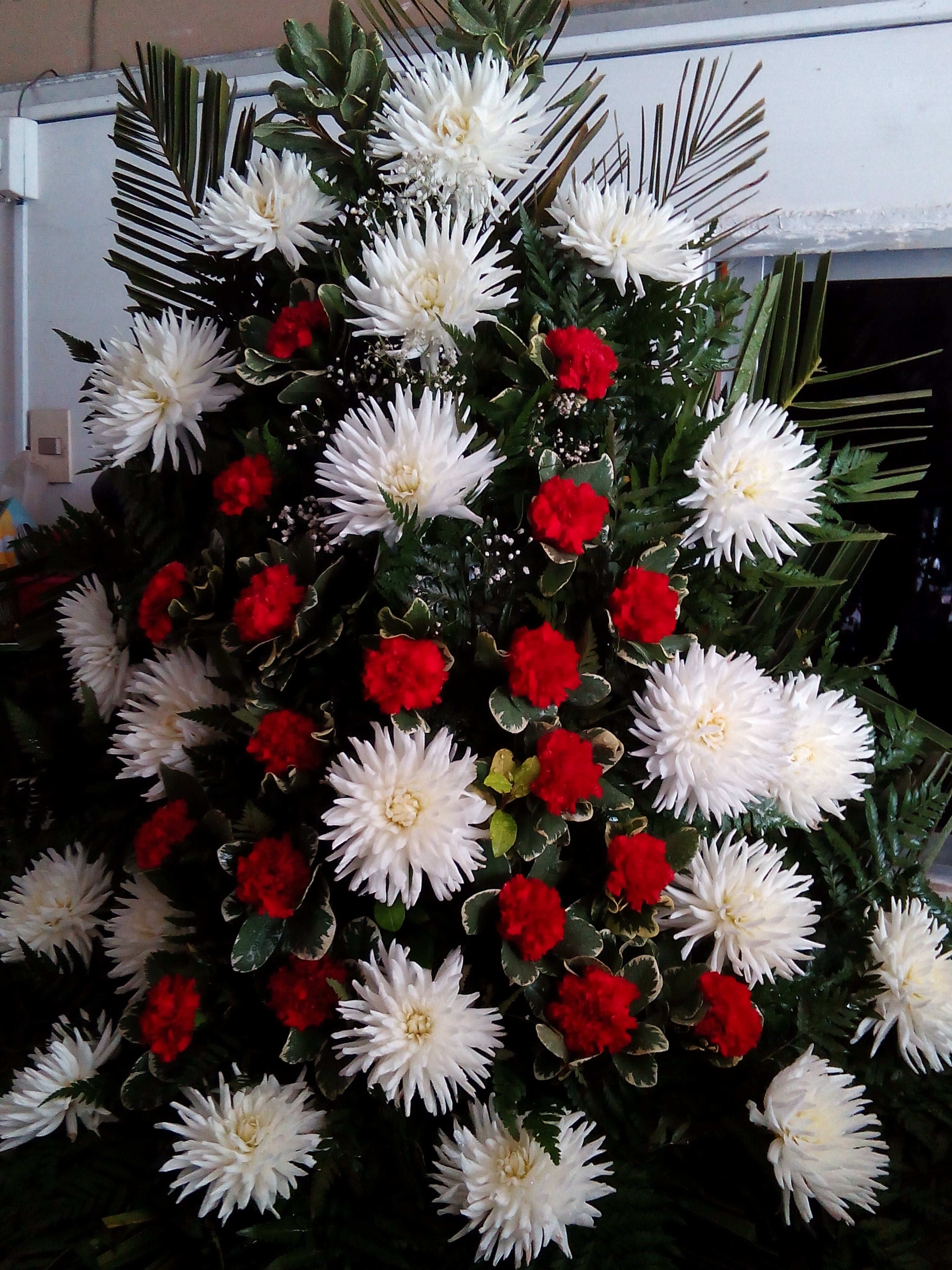 Palma de Piso con Crisantemos y Claveles